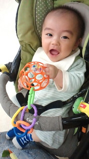 2011051216420001.jpg