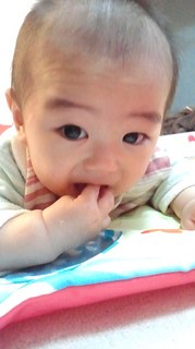 2011052315330000.jpg