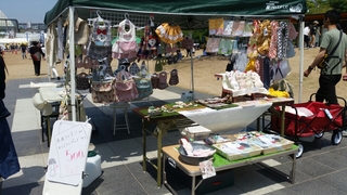 20160515152212730.jpg