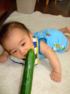 DSCF0537.JPG