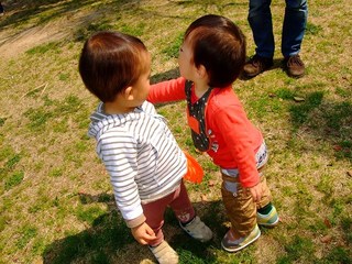 DSCF1774.jpg