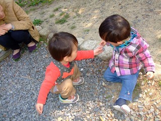 DSCF1779.jpg