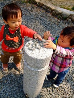 DSCF1782.jpg