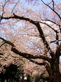 DSCF1790.jpg